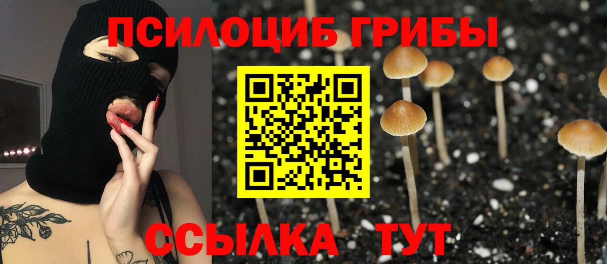 Галлюциногенные грибы мицелий  Вход с VPN  Сургут 